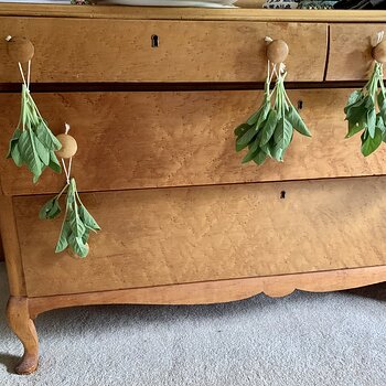Drying Space