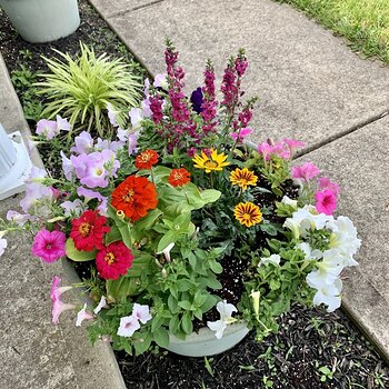 Planter No. 5
