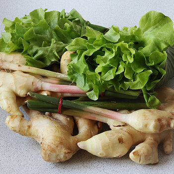 grass and ginger s.jpg