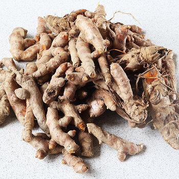 turmeric root s.jpg