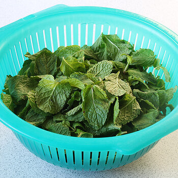 Fresh mint 2 s.jpg