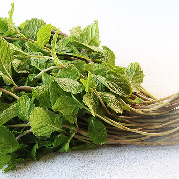 Fresh mint s.jpg