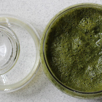 mint sauce 2.jpg