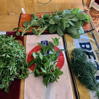 More Herbs