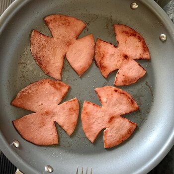 Fry The Bologna