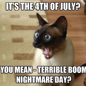 Happy July 4th!