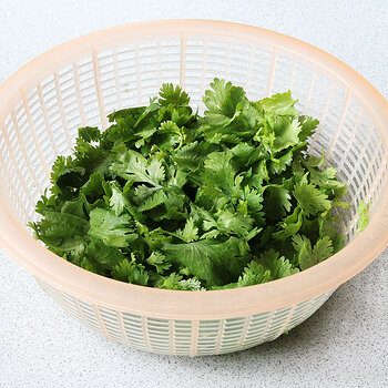 Coriander s.jpg