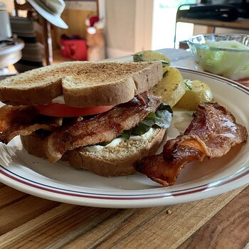 BLT, Potatoes, & Cukes W/ Tomato