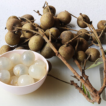 Longan 3 s.jpg