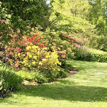 Sandringham Flowers