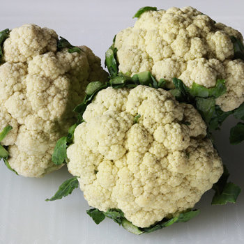 Cauliflower 1 s.jpg
