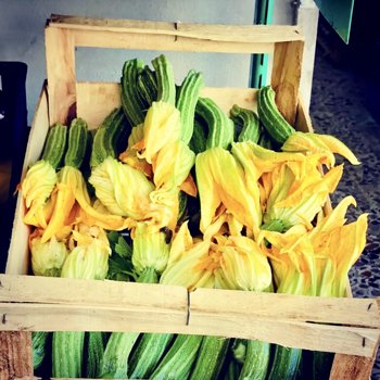 Courgette flowers.jpeg