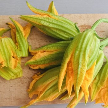 Courgette Flowers.jpeg