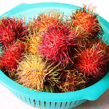 Rambutan s.jpg