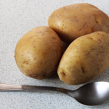 Spuds s.jpg