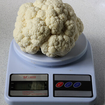 Cauliflower s.jpg