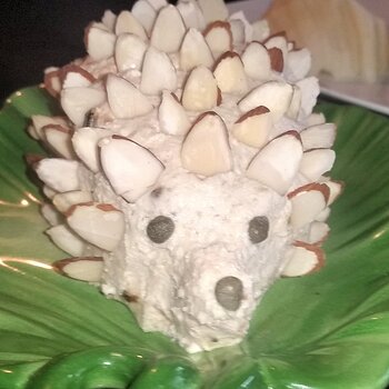 2020-09-11 18.10.30.jpg hedgehog