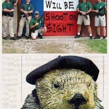When You Don't Pay Attention In Spelling/Grammar Class