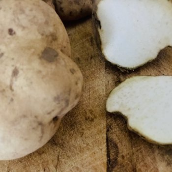 White Sweet Potatoes.jpeg