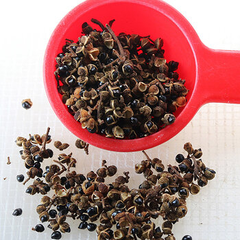 Sichuan pepper 3 s.jpg