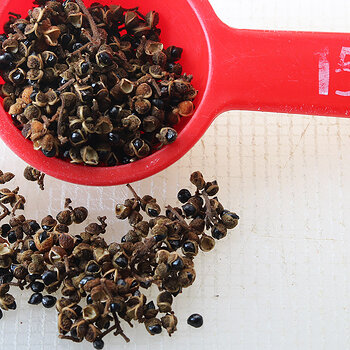 Sichuan pepper 4 s.jpg