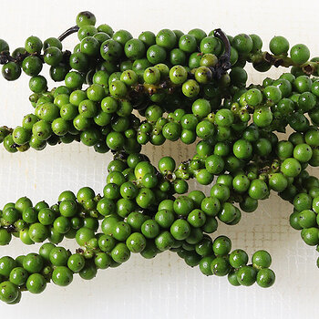 Green peppercorns 1 s.jpg