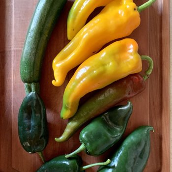 Sweet Peppers, Poblanos, Zucchini