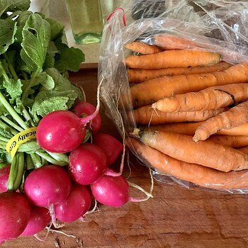 Carrots & Radishes