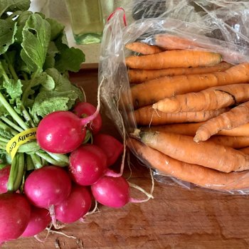 Carrots & Radishes