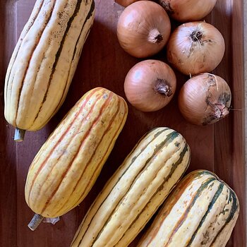Squash & Onions
