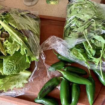 Mixed Lettuce, Arugula, Jalapeños