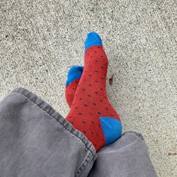 Today's Socks