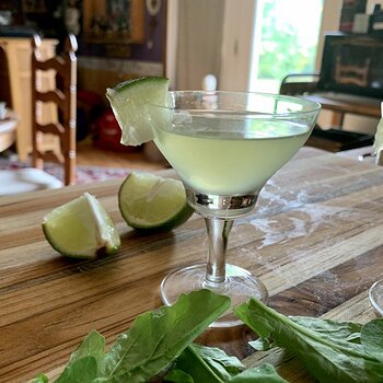 Arugula Gimlet