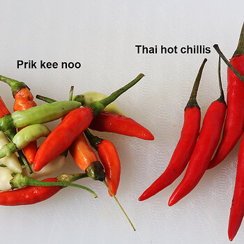 Prikeenoo-Thaihot s.jpg