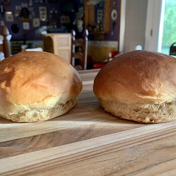 Burger Buns