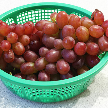 Seedless grapes s.jpg