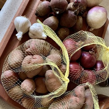Potatoes, Garlic, & Turnips