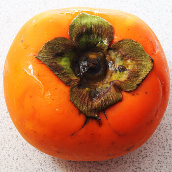 Persimmon s.jpg