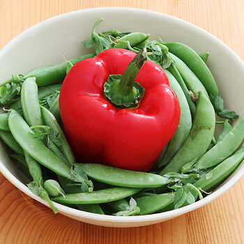 Capsicum-snowpeas s.jpg