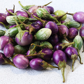 Aubergines s.jpg