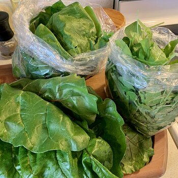 Chard, Spinach, & Arugula