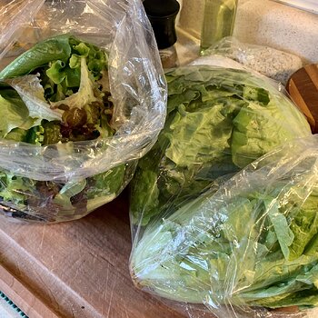 Mixed Baby Lettuce & Green Leaf Lettuce