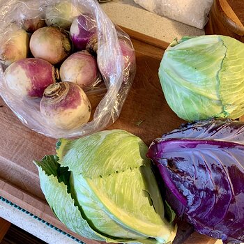 Turnips, Watermelon Radishes, & Cabbages