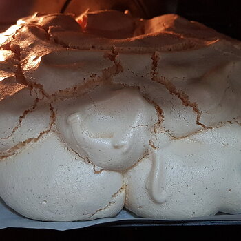 Pavlova