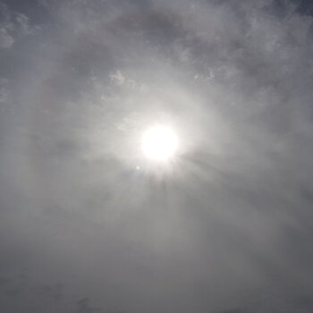 Sunhalo 4th January