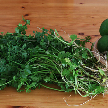 CauliflowerCoriander s.jpg