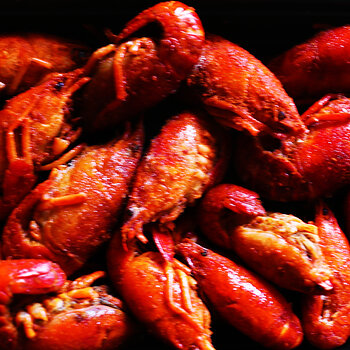 Crawdads