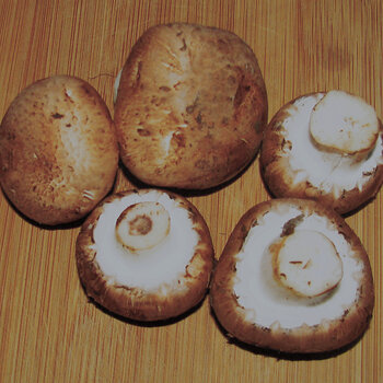 Crimini Mushrooms