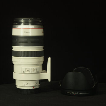 Canon EF 100-400mm F4.5-5.6L IS Telephoto Lens