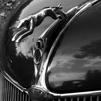 Ford Phaeton Hood Ornament